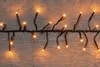 A string of warm white fairy lights with black wires is laid out on a wooden surface. Produktbild-Vorschau