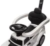 Voiture à pousser 3 en 1 pour enfants, trotteur avec espace Voir les images du produit 7