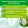 Purgrün Einblatt-Dünger 1 Liter, Produktbild-Vorschau 3