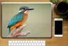 MuchoWow® Laptop Aufkleber Sticker Cover Vogel - Eisvogel - Produktbild-Vorschau 2