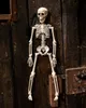 Halloween Skelett 40 cm - Beweglich Produktbild-Vorschau 3