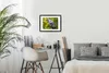 MuchoWow® MuchoWow® Gerahmtes Poster Eine bunte Wildtaube Produktbild-Vorschau 7