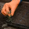 3x MINI-GEWÄCHSHAUS-KEIMERINSPEKTION FÜR SÄMLINGSKEIMER 48 Produktbild-Vorschau 6