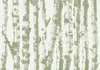 Vlies Fototapete - Stately Birches - Third Variant 100x70 Produktbild-Vorschau 5