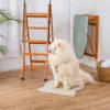 A white dog sits on a rug next to a wooden stepladder and a wall-mounted ironing board. Voir les images du produit