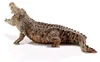 Schleich 14736 Schleich Wild Life Coccodrillo Anteprima dell’immagine prodotto 4