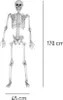 Realistický veľký kostlivec 170 cm - tmavá halloweenska Náhľad obrázku produktu 16