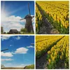 Bild auf Leinwand - Leinwandbild - Einteilig - Tulpen Produktbild-Vorschau 8