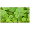 Triptychon auf leinwand natura grün 150x100 cm Feeby grün Produktbild-Vorschau 3