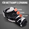 Apollo Boxhandschuh Champion Punch-12oz - Black/White Produktbild-Vorschau 3