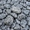 Dalmatiner-Zierkieselsteine (gepunkteter Granitkies) dicht aneinander liegend im Detail Produktbild-Vorschau