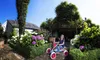 BERG Skelter Buzzy Bloom Produktbild-Vorschau 36