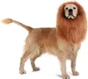 A golden retriever dog wearing a lion's mane costume, standing against a white background. Produktbild-Vorschau