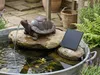 Solar Brunnen Schildkröte Wasserspeier solarbetrieben – Produktbild-Vorschau 1