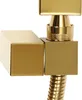 Close-up of a gold-colored shower fixture with a flexible hose. Podgląd zdjęcia produktu