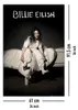 Plakát Billie Eilish When We All Fall Asleep Where Do We Go Náhled obrázku produktu 5