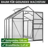 BRAST Gewächshaus Aluminium mit Fundament | 130x190x195cm Produktbild-Vorschau 9