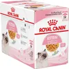 A product box of Royal Canin Kitten food. Produktbild-Vorschau