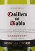 Casillero del Diablo Chardonnay Reserva trocken 2019 Chile Produktbild-Vorschau 2