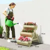 Outsunny verticale verhoogde tuinbed met 3 niveaus, Productafbeelding-voorbeeld 3