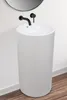 A white pedestal sink with black faucets against a white wall and a wooden floor. Anteprima dell’immagine prodotto