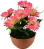 Gerberas rose 7 fleurs dans un bol en terre cuite Ø22/ 24 Voir les images du produit 4