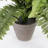 Mica Decorations Kunstliche Pflanze - Farn - grun - im Topf Produktbild-Vorschau 13