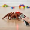 Aga Diaľkovo ovládaný pavúk TARANTULA hnedý Náhľad obrázku produktu 12