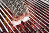 GEFU Spazzola per barbecue senza setole G-89558 Anteprima dell’immagine prodotto 8