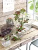 Vaso Mica Decorations Britt - L20 x L20 x H20 cm - Quadrato Anteprima dell’immagine prodotto 5