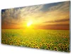 Stampe su vetro acrilico 100x50: quadro decorativo, stampa Anteprima dell’immagine prodotto 1