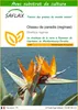 SAFLAX  - Oiseau de paradis (reginae) - 5 graines - Avec Voir les images du produit 1