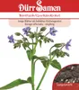 Boretsch | Boretschsamen von Dürr Samen Produktbild-Vorschau 1