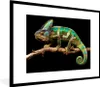 MuchoWow® MuchoWow® Gerahmtes Poster Chamäleon - Zweig - Produktbild-Vorschau 1