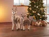 Rentier, schöne Weihnachtsdeko, Rudolf das Rentier, 28 x 18 Produktbild-Vorschau 8