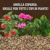 LERAVA® Argile expansée pour plantes  – 3 L – Granulés Voir les images du produit 5