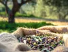 Physis Of Crete Olio Extra Vergine di Oliva 0,2 3l Dalla Anteprima dell’immagine prodotto 4