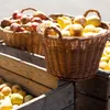 Schladerer Obstbrand Probierpack 42% Vol. 6 x 0,03l Produktbild-Vorschau 5