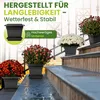 Tomatentopf eckig anthrazit mit Untersetzer 8 Stück, Produktbild-Vorschau 5