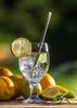 A glass of clear liquid with ice and a lemon slice, surrounded by lemons and greenery. Podgląd zdjęcia produktu