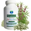 Echtes Herzgespann Motherwort 720 (4x180) Pulver Kapseln Produktbild-Vorschau 8