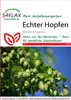Artikelbild 1 von 'Echter Hopfen' aus der Kategorie Heilpflanzensamen Podgląd zdjęcia produktu