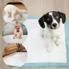 Ale-commerce | Tappetini igienici per cani - 33x45 cm - blu Anteprima dell’immagine prodotto 14