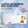 SucceBuy Truhlicová mraznička - objem 17,2 cm3 / 488 l, 4 Náhled obrázku produktu 3