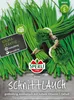 Schnittlauch ''Staro'' grobröhrig, aromatisch mit hohem Produktbild-Vorschau 3