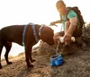 Ruffwear Front Range™ Hundegeschirr Produktbild-Vorschau 14