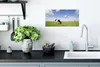 MuchoWow® Poster Kuh - Gras - Niederlande - Tiere 40x20 cm Produktbild-Vorschau 3