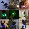 LED Leuchthalsband für Hunde USB Aufladbar LED Produktbild-Vorschau 3