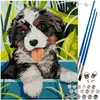 Maaleo 22780 Maľovanie podľa čísel 40 x 30 cm Náhľad obrázku produktu 9