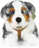 Peluche Berger Australien Avec Harnais 61cm Eco-f. Voir les images du produit 7